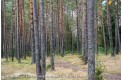 Parduodami namų valdos sklypai Šilėnų g., Antakalnyje, Vilniuje, 8 a ploto
